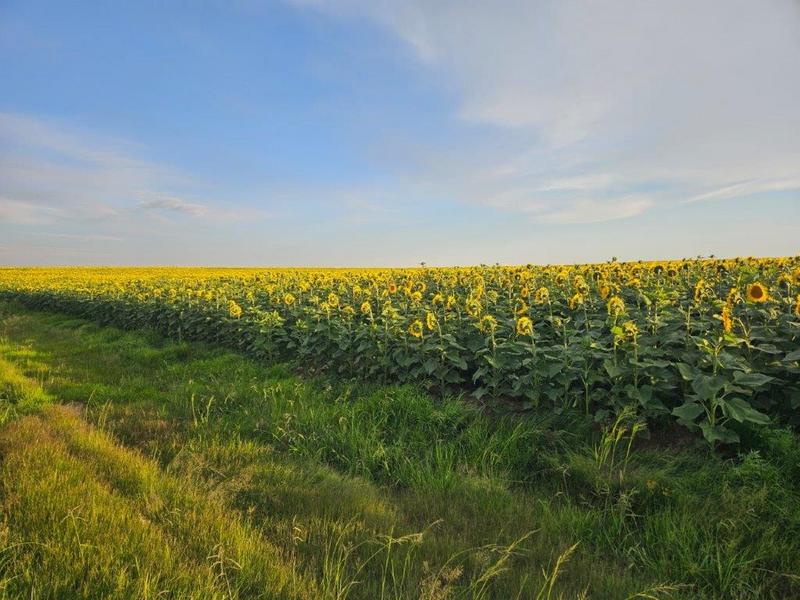 8 Bedroom Property for Sale in Bethlehem Rural Free State